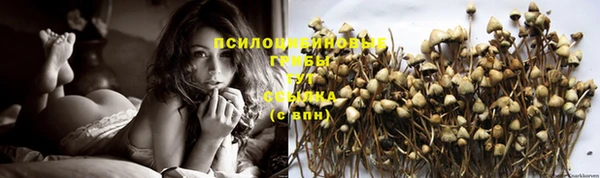 сатива Алексеевка