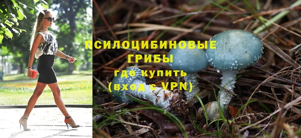 сатива Алексеевка