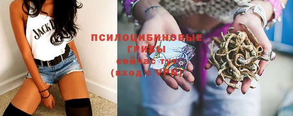 соль ск Алексин