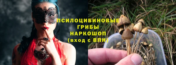 сатива Алексеевка
