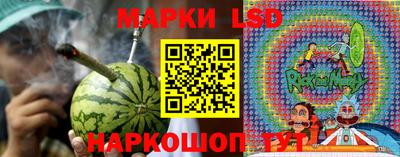 прущие грибы Канаш
