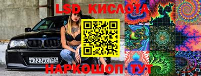 PSILOCYBIN Кандалакша