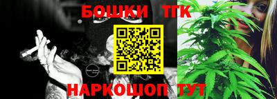 прущие грибы Канаш
