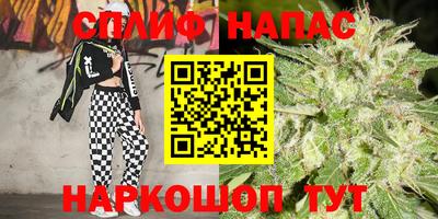 PSILOCYBIN Кандалакша
