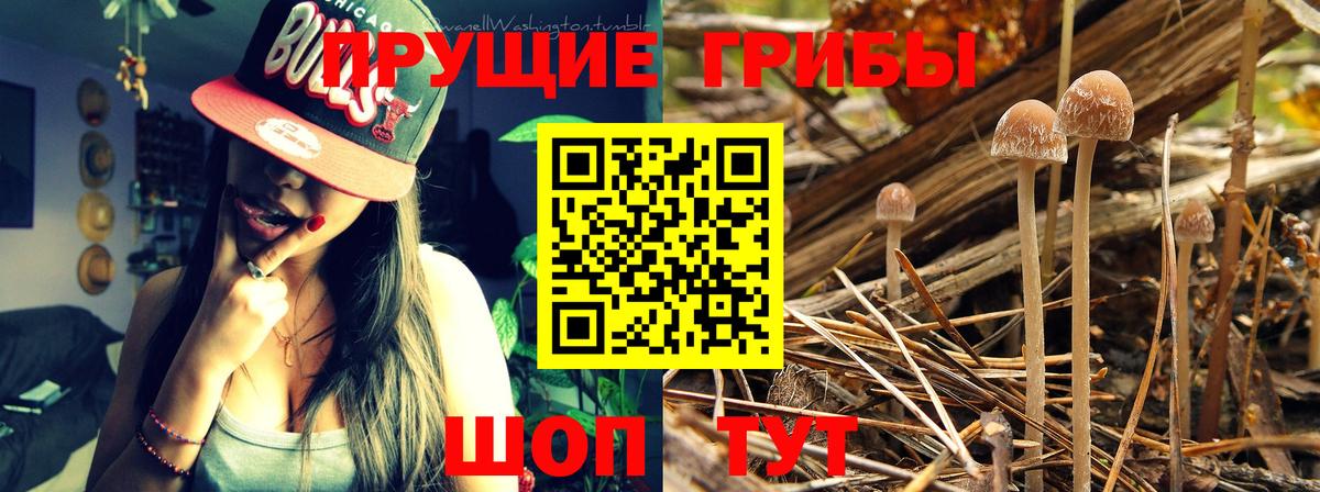 Клин  Псилоцибиновые грибы Magic Shrooms  Вход с VPN  Псилоцибиновые грибы Magic Shrooms 